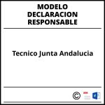 Modelo Declaracion Responsable Tecnico Junta Andalucia